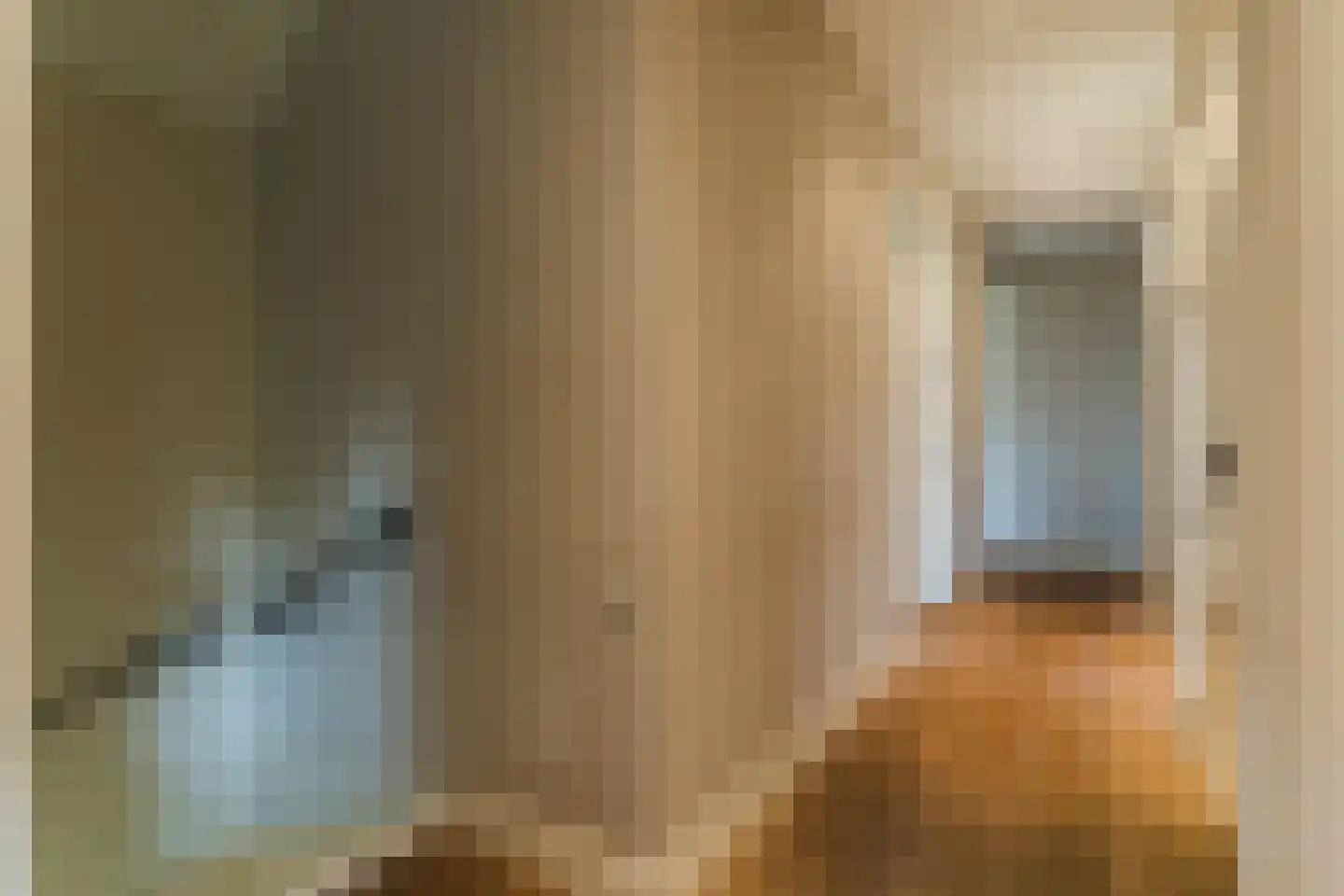 Molenstraat 6 Boekel thumbnail 23