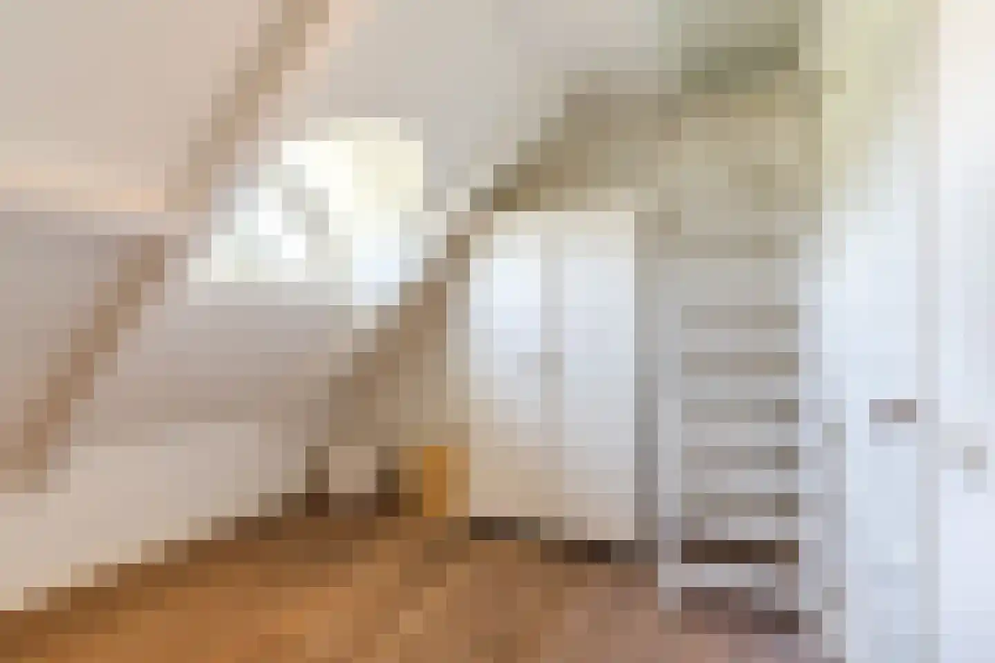 Molenstraat 6 Boekel thumbnail 26