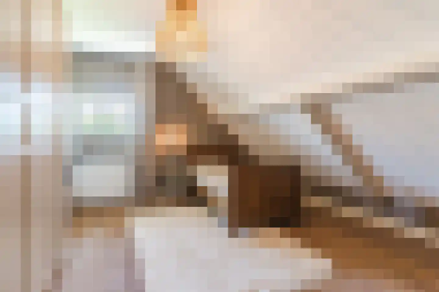 Molenstraat 6 Boekel thumbnail 29