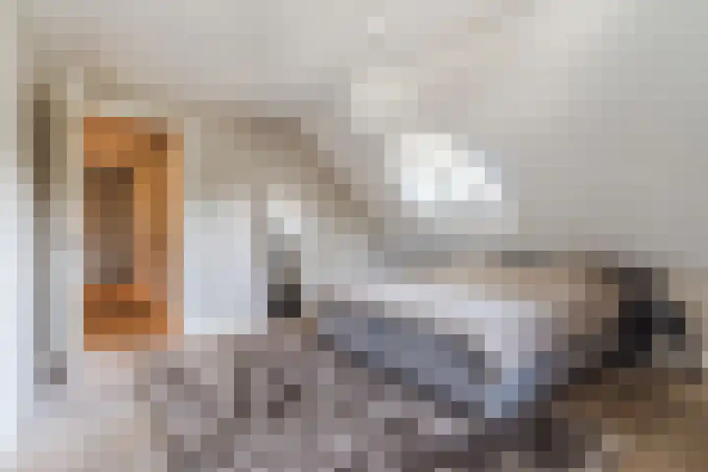 Molenstraat 6 Boekel thumbnail 32