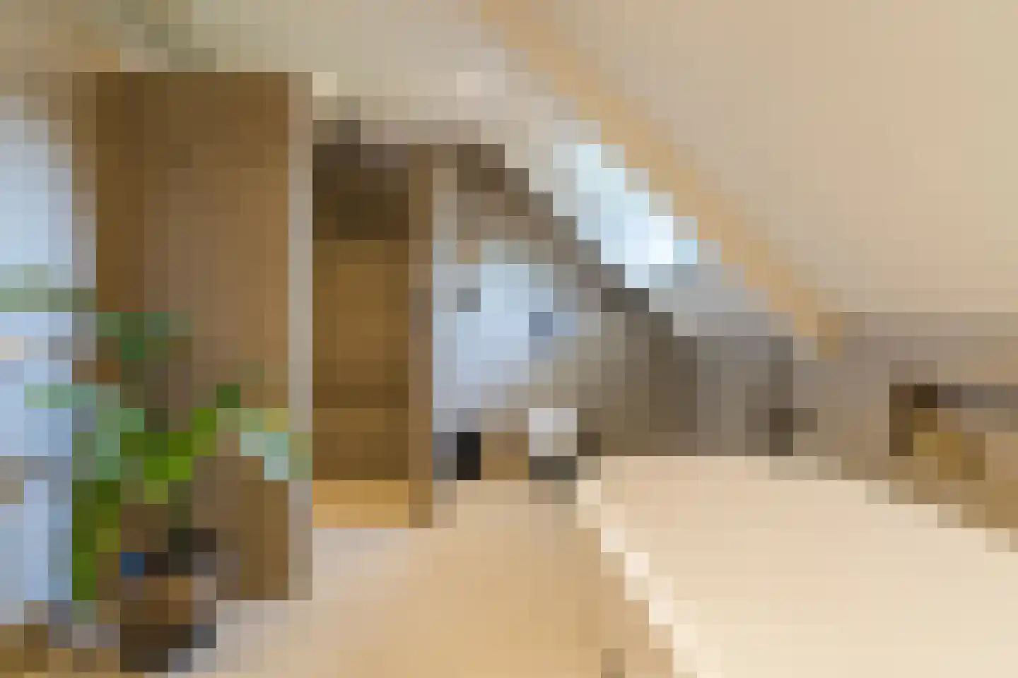 Molenstraat 6 Boekel thumbnail 35