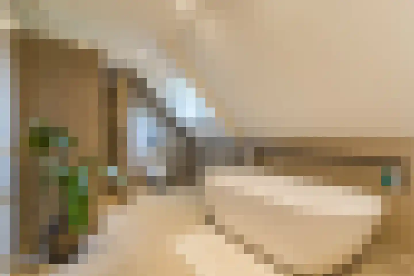 Molenstraat 6 Boekel thumbnail 36