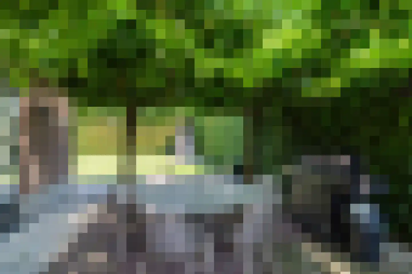 Molenstraat 6 Boekel thumbnail 41