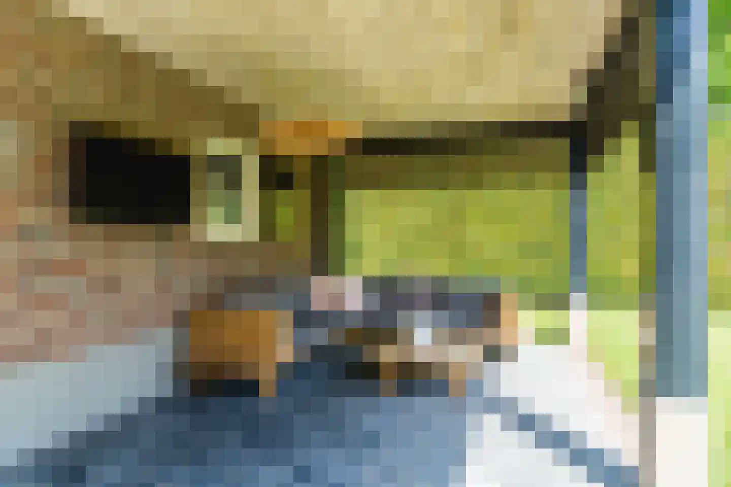 Molenstraat 6 Boekel thumbnail 43