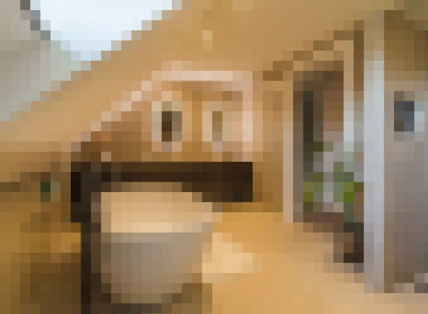 Molenstraat 6 Boekel thumbnail 5