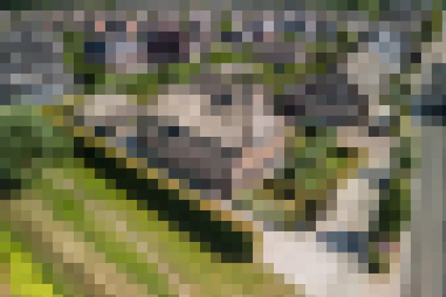 Molenstraat 6 Boekel thumbnail 53