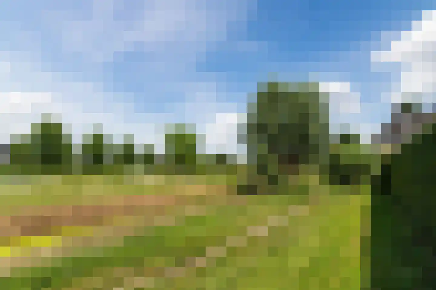 Molenstraat 6 Boekel thumbnail 55