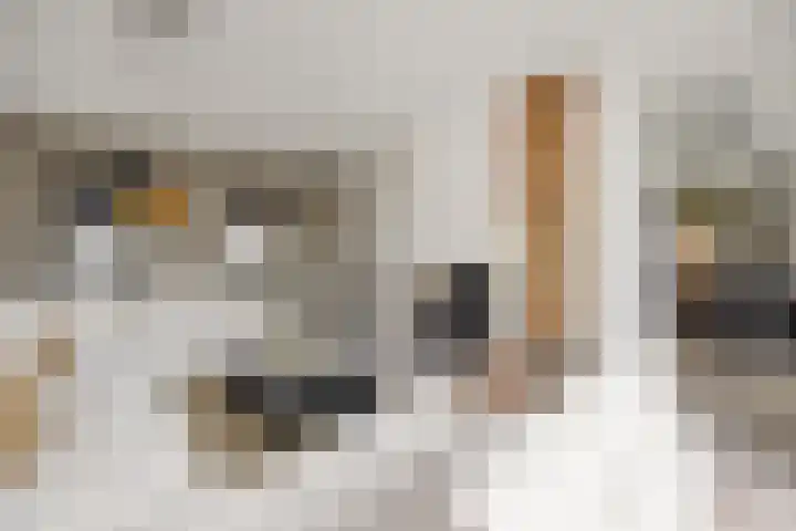 Molenstraat 6 Bruchem thumbnail 12