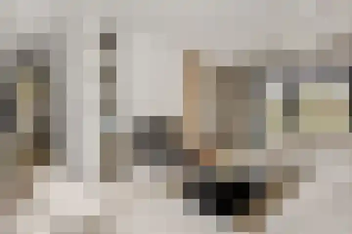 Molenstraat 6 Bruchem thumbnail 15