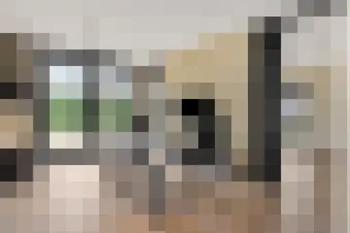 Molenstraat 6 Bruchem thumbnail 18