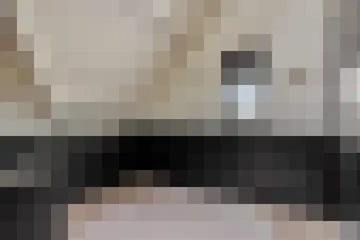 Molenstraat 6 Bruchem thumbnail 22