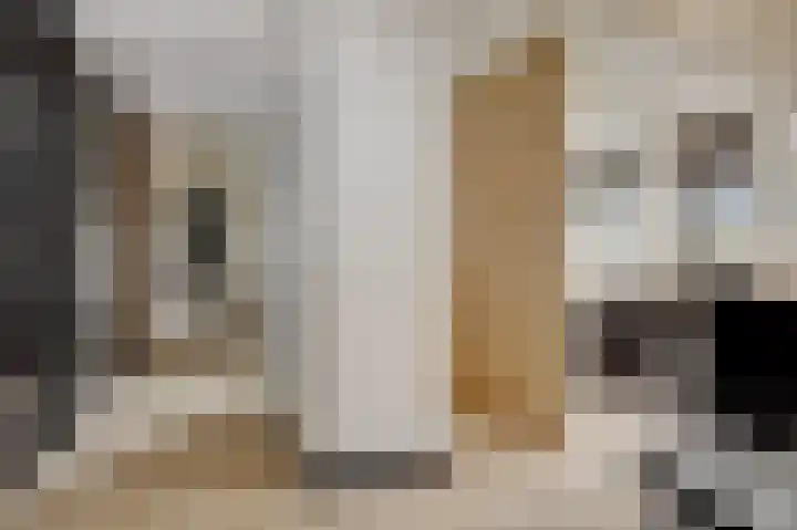 Molenstraat 6 Bruchem thumbnail 24