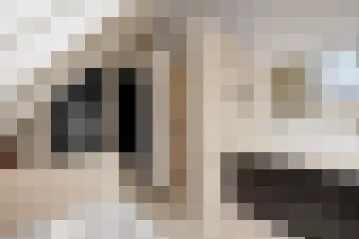 Molenstraat 6 Bruchem thumbnail 26