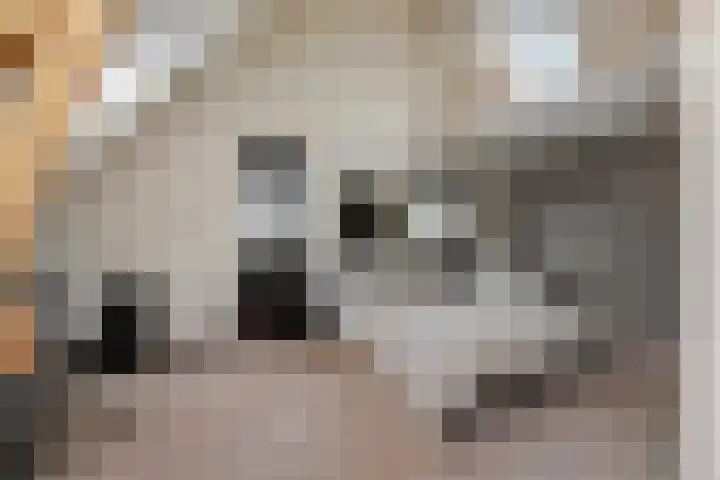 Molenstraat 6 Bruchem thumbnail 30