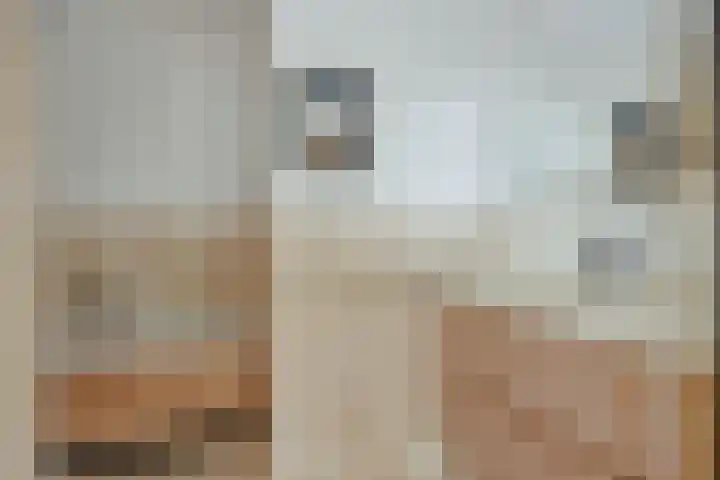 Molenstraat 6 Bruchem thumbnail 31