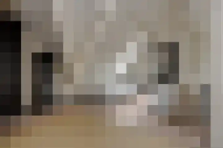Molenstraat 6 Bruchem thumbnail 33