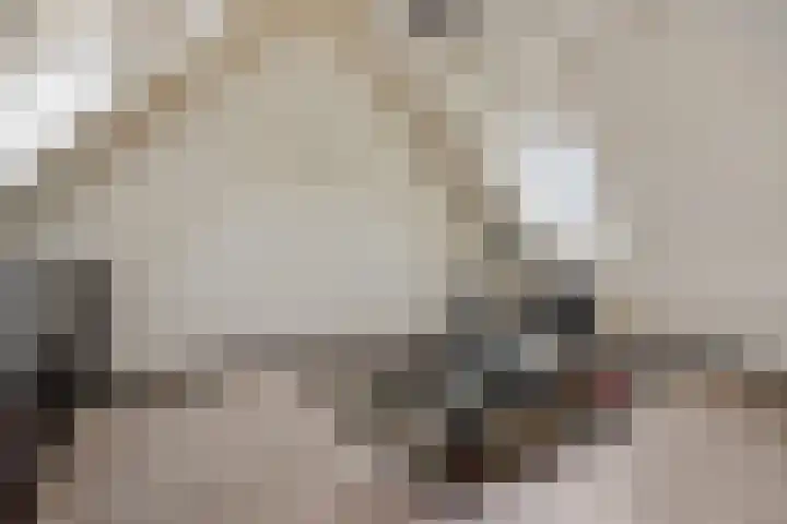 Molenstraat 6 Bruchem thumbnail 34