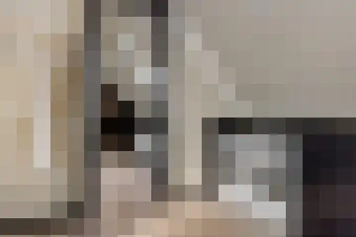 Molenstraat 6 Bruchem thumbnail 35
