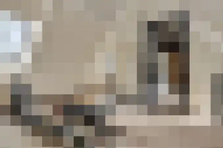 Molenstraat 6 Bruchem thumbnail 36
