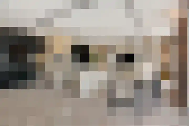 Molenstraat 6 Bruchem thumbnail 40