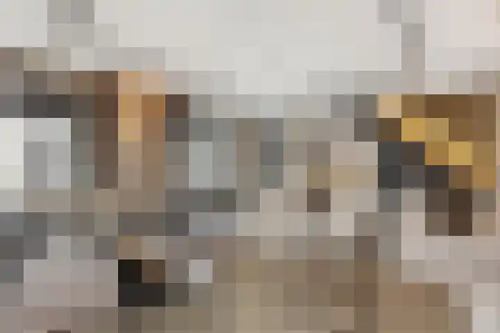 Molenstraat 6 Bruchem thumbnail 41
