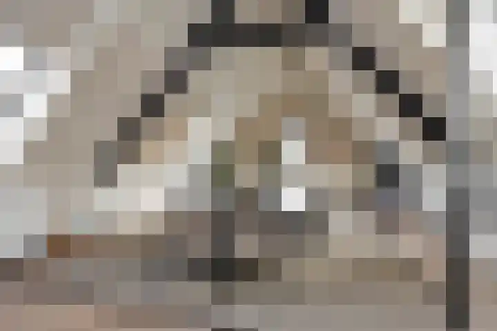 Molenstraat 6 Bruchem thumbnail 42