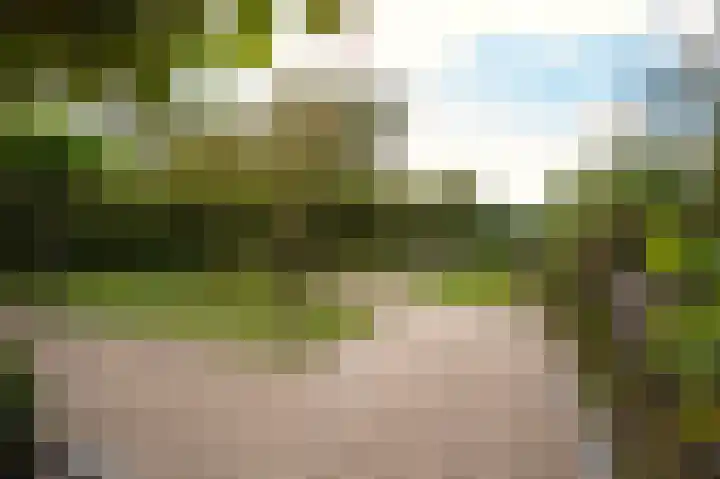 Molenstraat 6 Bruchem thumbnail 46