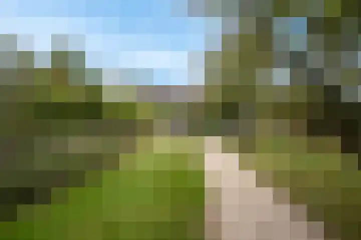 Molenstraat 6 Bruchem thumbnail 47