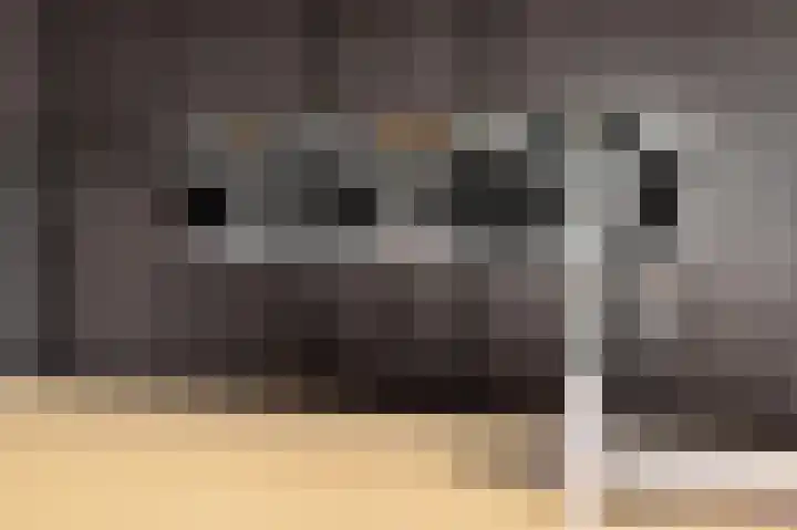 Molenstraat 6 Bruchem thumbnail 6