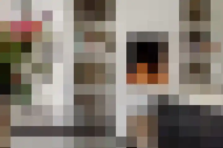 Molenstraat 6 Bruchem thumbnail 8