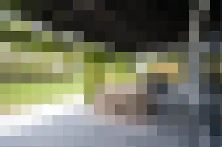 Molenstraat 6 Bruchem thumbnail 9