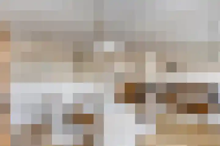 Molenstraat 6 C 2 Helden thumbnail 17
