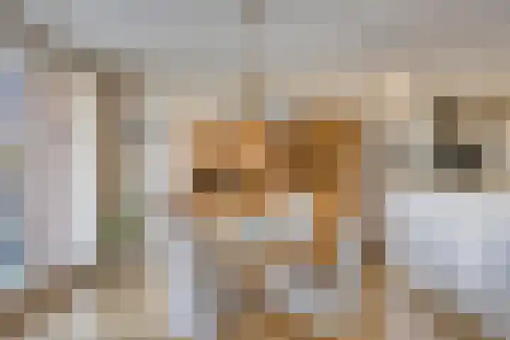 Molenstraat 6 C 2 Helden thumbnail 18