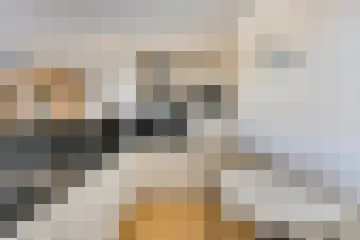 Molenstraat 6 C 2 Helden thumbnail 20