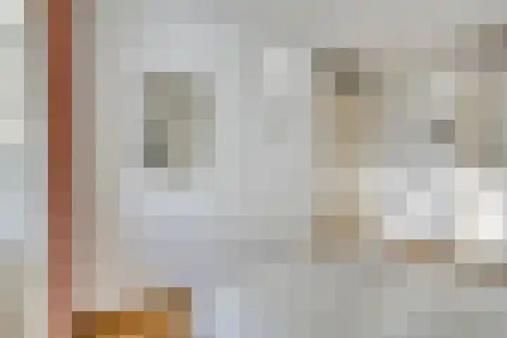 Molenstraat 6 C 2 Helden thumbnail 25