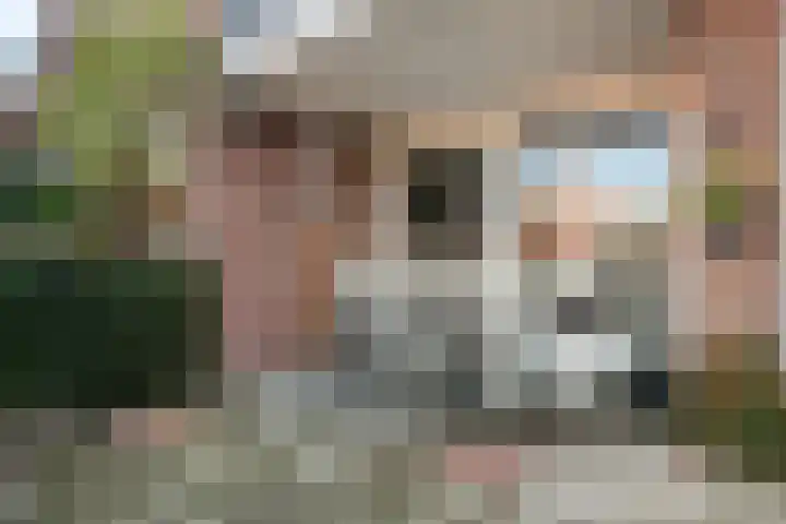 Molenstraat 6 C 2 Helden thumbnail 26
