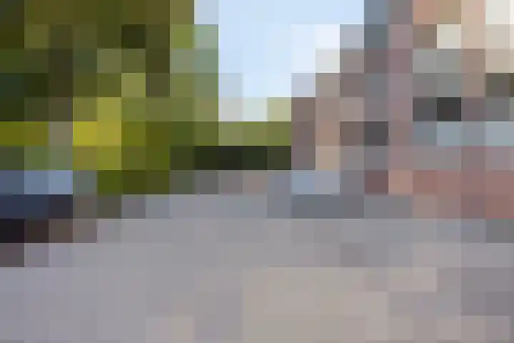 Molenstraat 6 C 2 Helden thumbnail 38