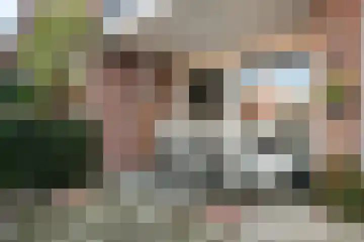 Molenstraat 6 C 2 Helden thumbnail 4