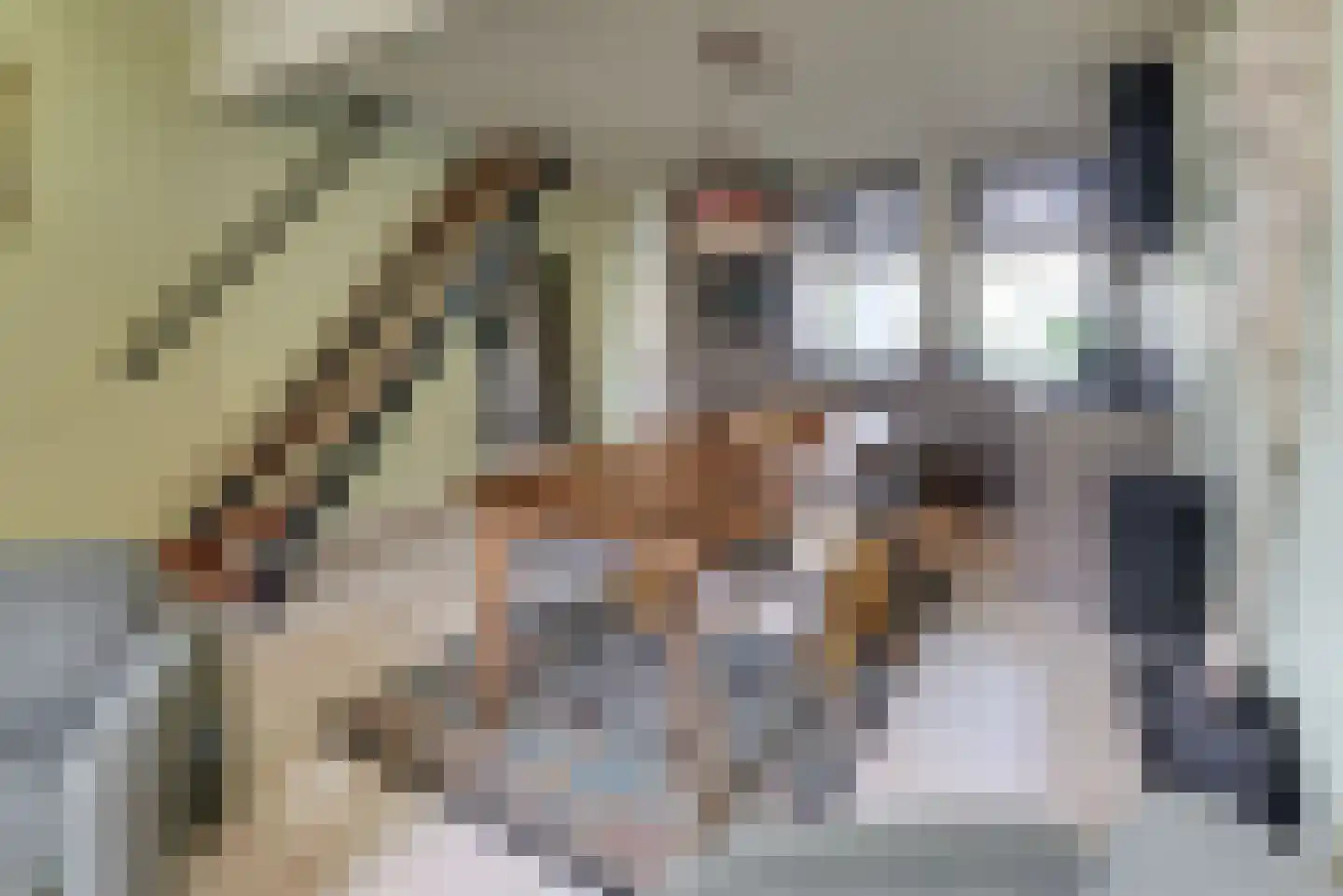 Molenstraat 6 Harderwijk thumbnail 11