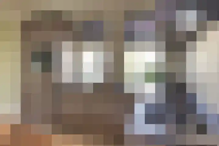 Molenstraat 6 Harderwijk thumbnail 13