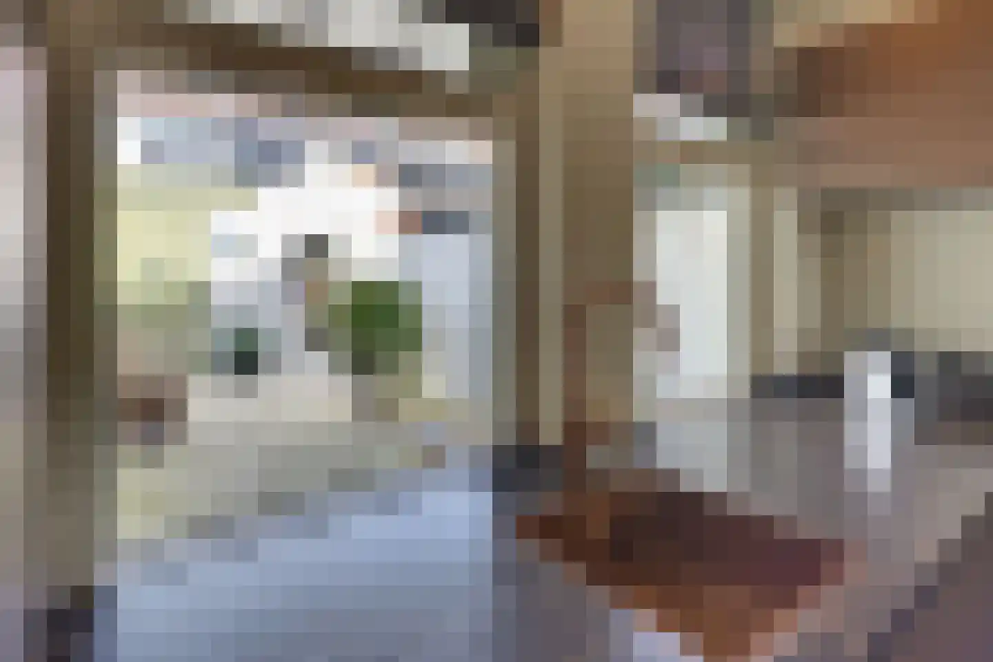 Molenstraat 6 Harderwijk thumbnail 14