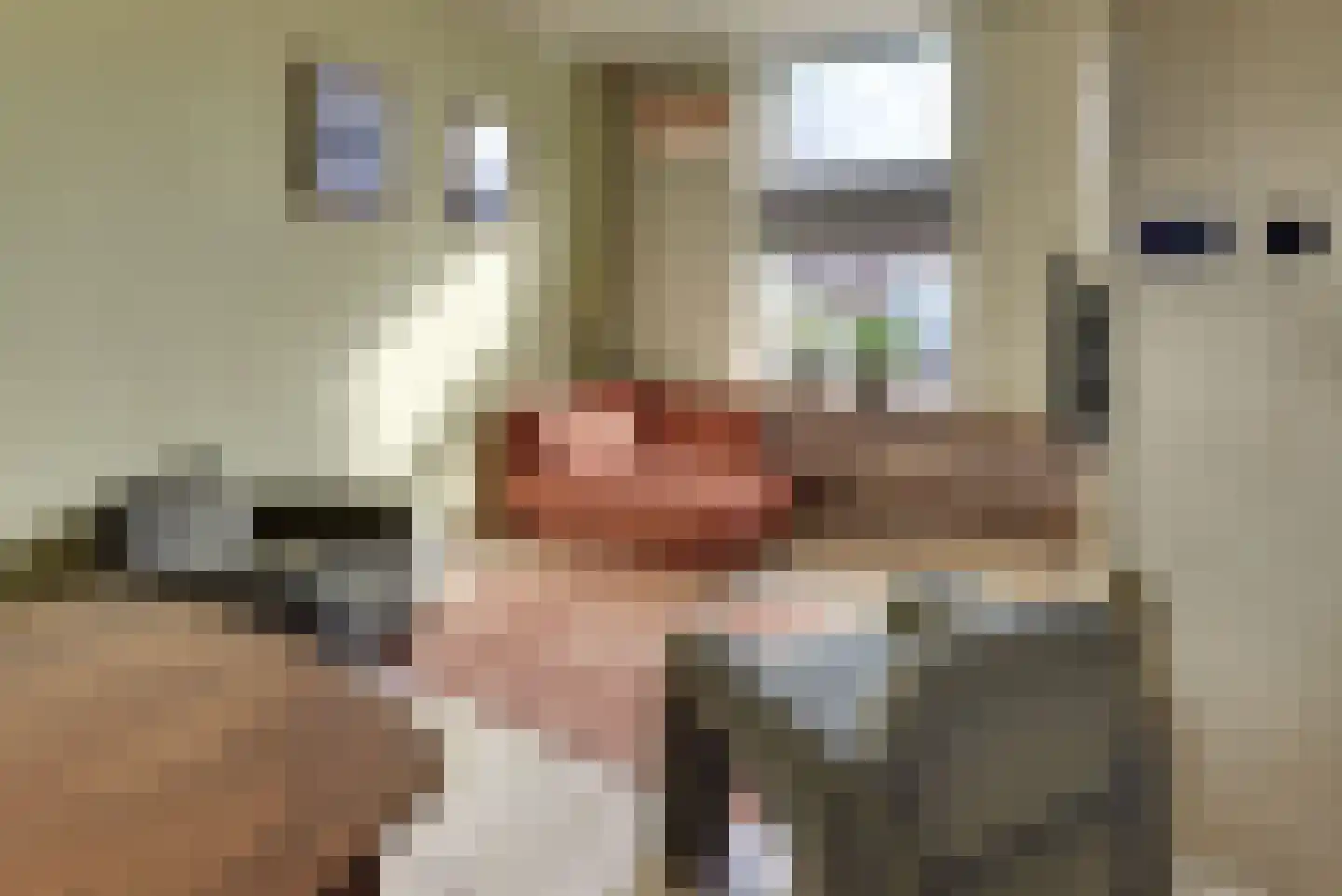 Molenstraat 6 Harderwijk thumbnail 17