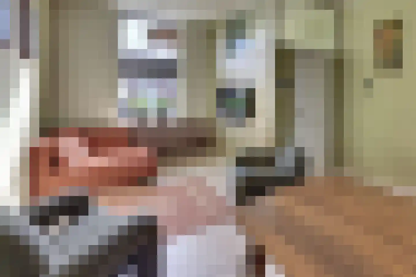 Molenstraat 6 Harderwijk thumbnail 18