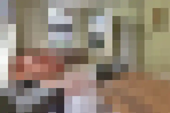Molenstraat 6 Harderwijk thumbnail 18