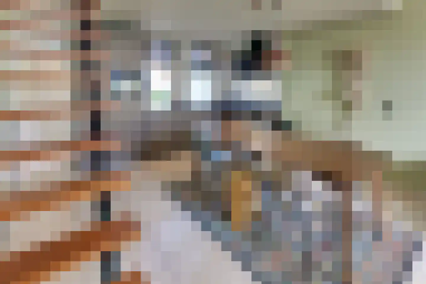Molenstraat 6 Harderwijk thumbnail 20