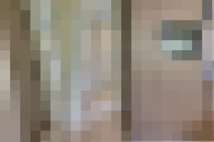 Molenstraat 6 Harderwijk thumbnail 22