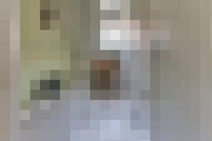 Molenstraat 6 Harderwijk thumbnail 26