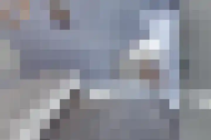 Molenstraat 6 Harderwijk thumbnail 29
