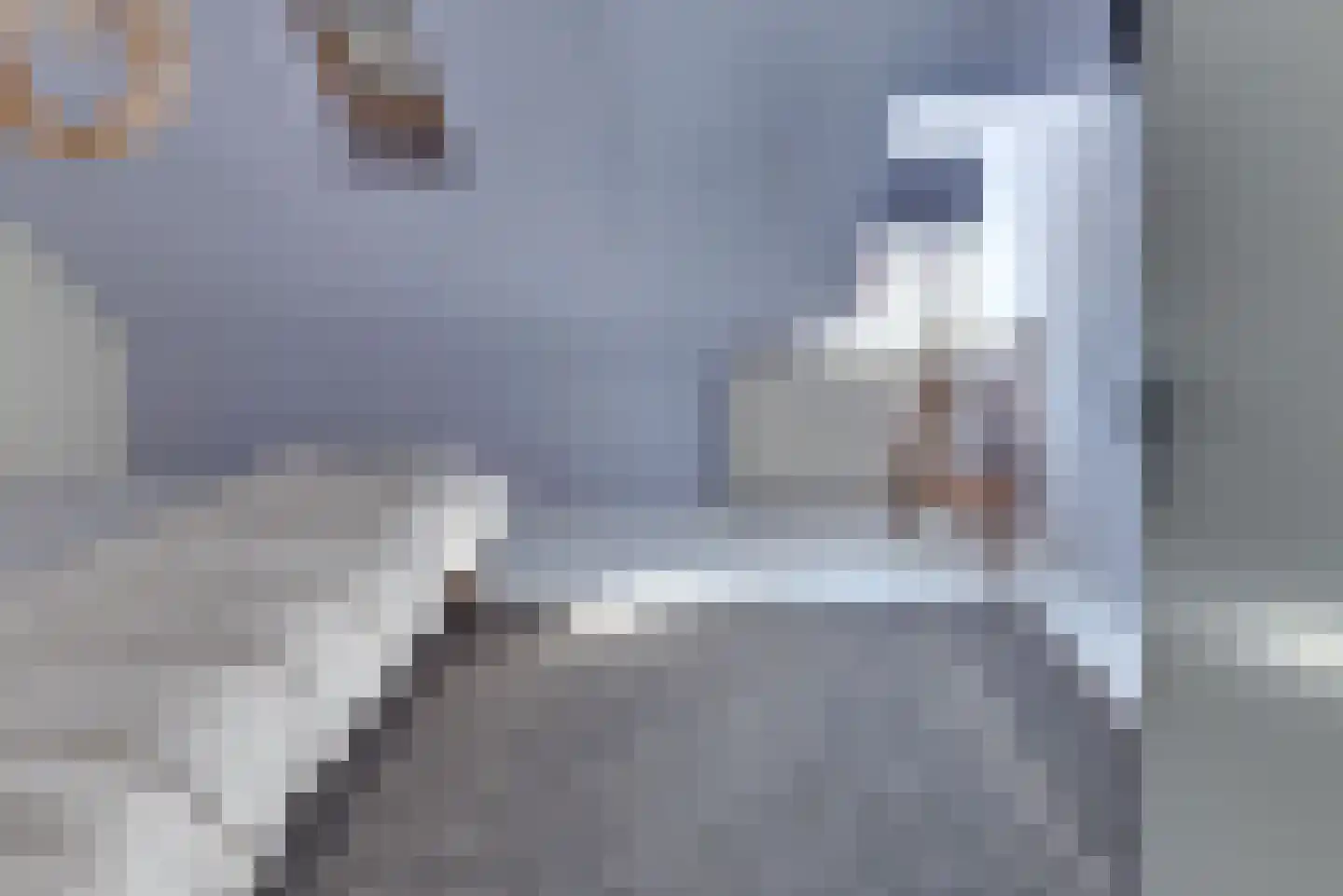 Molenstraat 6 Harderwijk thumbnail 29