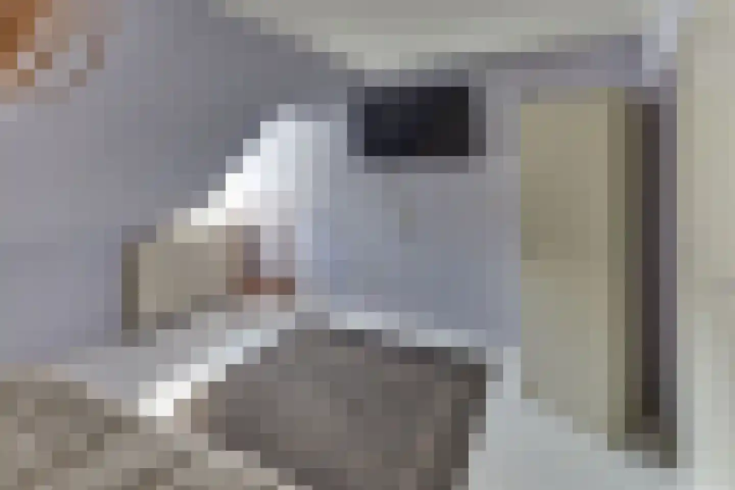 Molenstraat 6 Harderwijk thumbnail 31